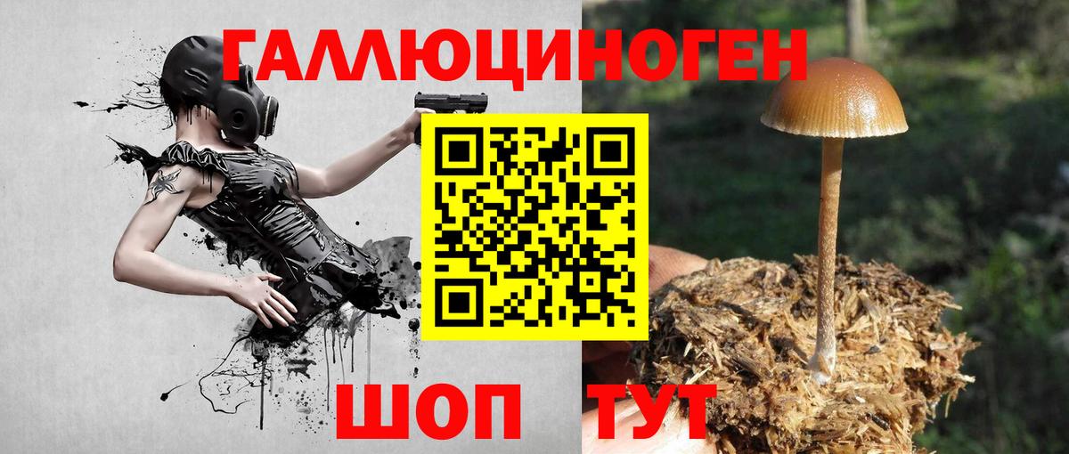 Строитель  Галлюциногенные грибы GOLDEN TEACHER  Вход с VPN  Галлюциногенные грибы прущие грибы 
